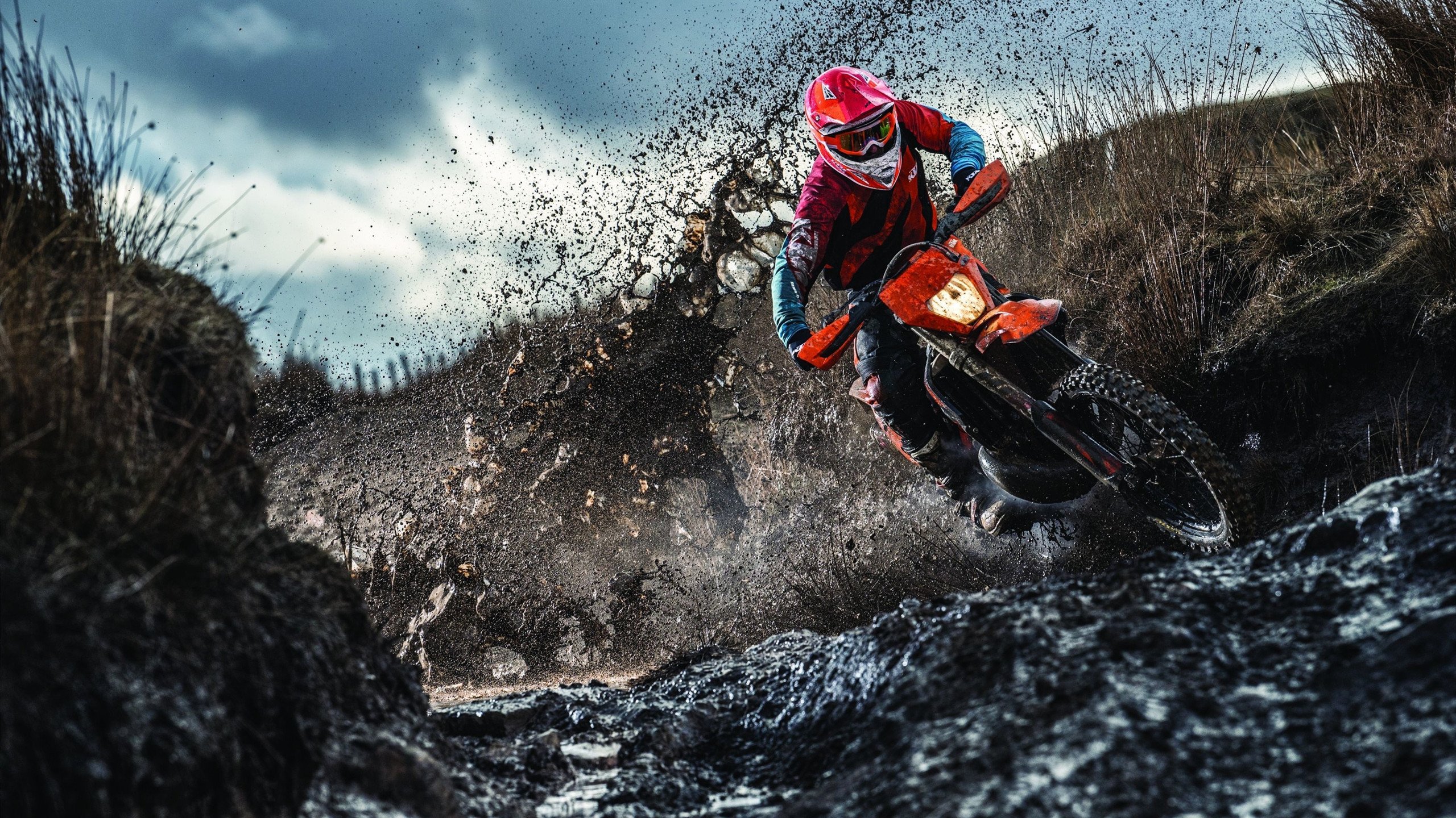 全国马术耐力赛甘肃举办圆满成功，马术比赛 中国