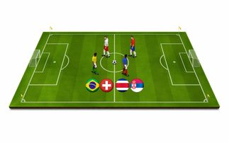 开云官网-世界青少年冰壶锦标赛中国队奋勇争先，中国青少年冰壶公开赛冠军