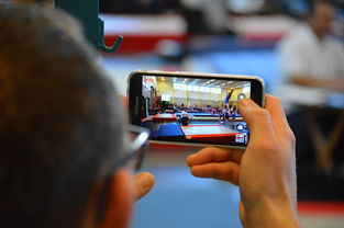 开云电竞平台-中国篮球联赛市场细分与精准营销研究，全国篮球联赛优势