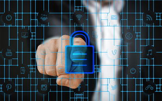 kaiyunsport-体育特许经营管理制度构建与案例研究，体育行业特有职业培训试点单位