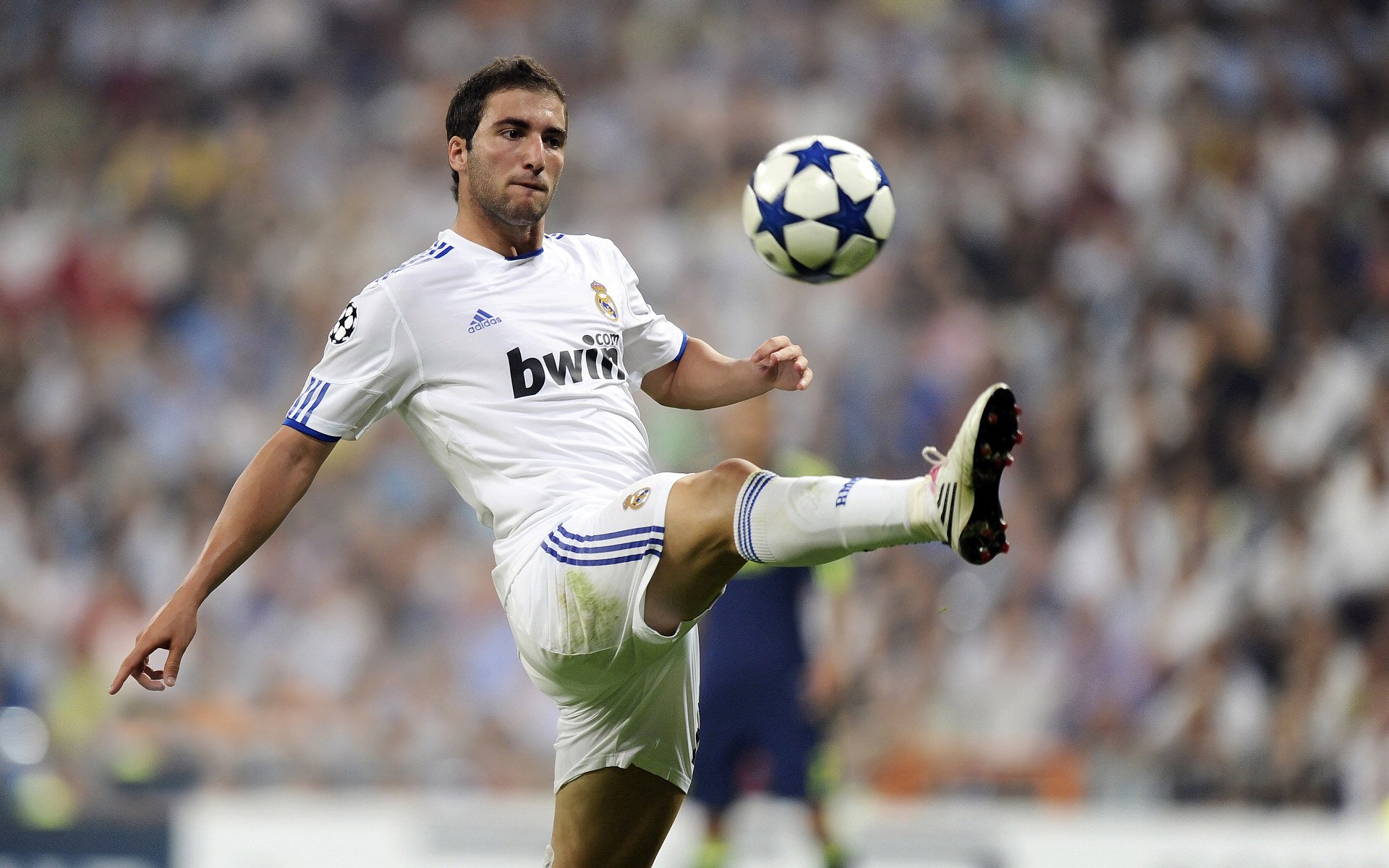 普劳德：节奏与反应决定胜负，普劳特假说